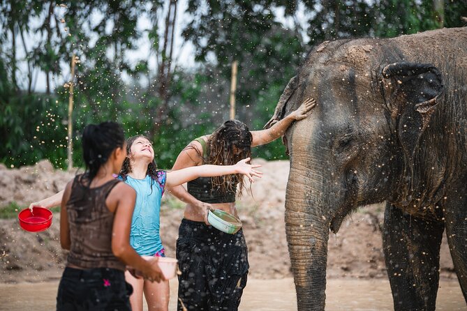Elephant Jungle Sanctuary: Half Day Morning Program - Lunch, Coffee/Tea, and Snacks