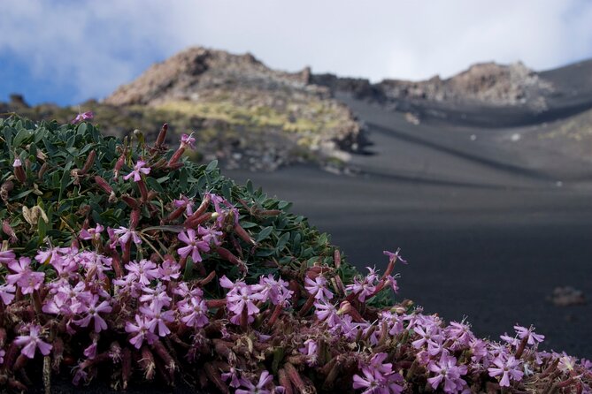 Etnas Hidden Gems - Trek Valle Bove & Lava Tunnel With Gear - Gear and Equipment Provided