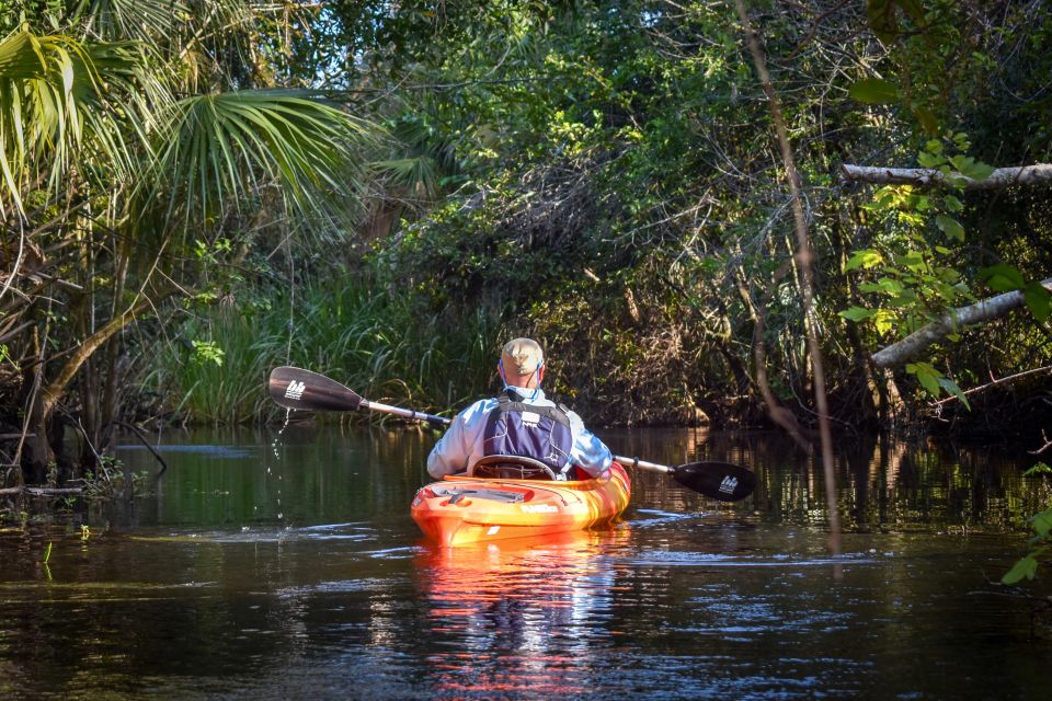 Everglades City: Guided Kayaking Tour of the Wetlands - Booking