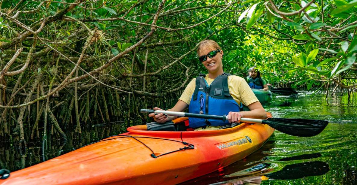 Everglades: Guided Kayak and Airboat Tour - Airboat Exploration