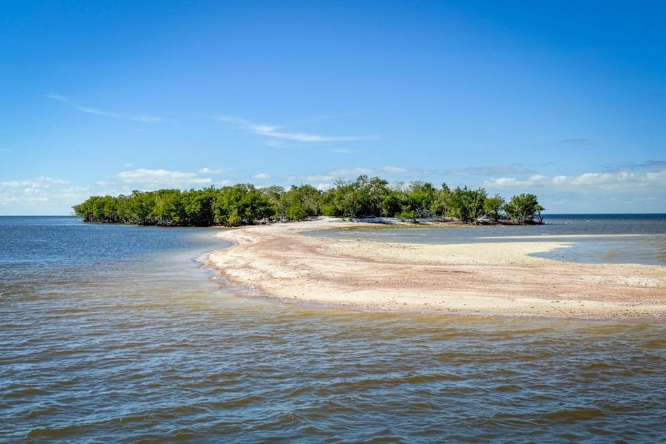 Everglades National Park: Pontoon Boat Tour & Boardwalk - What to Bring for the Tour