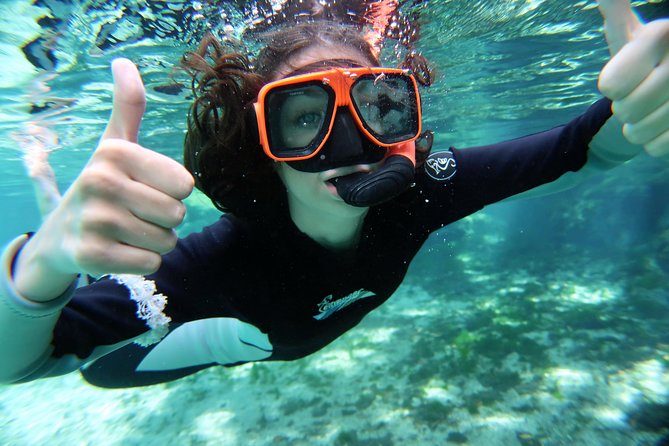 Exclusive Small Group VIP Heated Manatee Snorkel Tour - Important Information