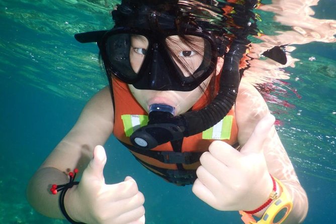 Explore Nha Trang Bay: Half-Day Snorkeling Adventure Tour - Guided Exploration of Marine Life