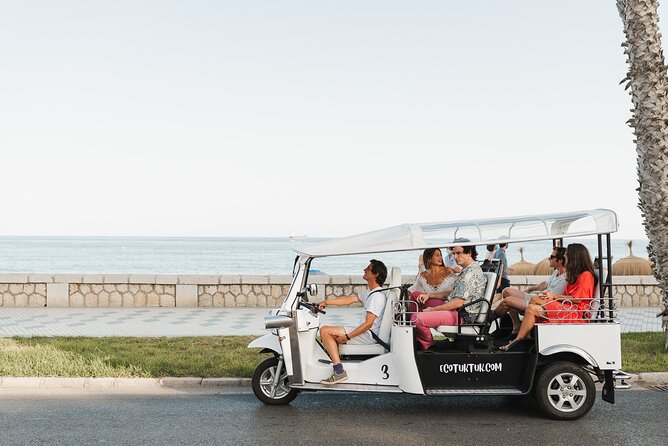 Express Tour of Malaga in Private Eco Tuk Tuk - Accessibility and Transportation