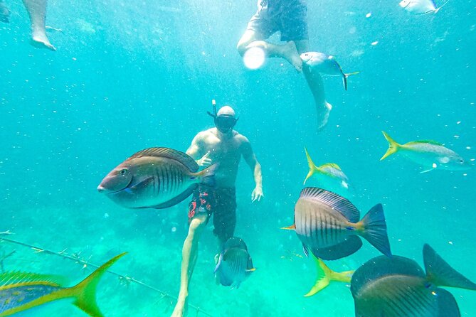 Family Friendly Snorkel Cruise and Seafood Lunch in Punta Cana - Photographic Opportunities