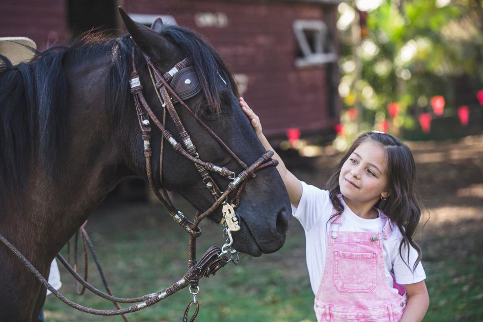 Family Fun With Peruvian Paso Horses: Ride, Feed, and Bond - Recap