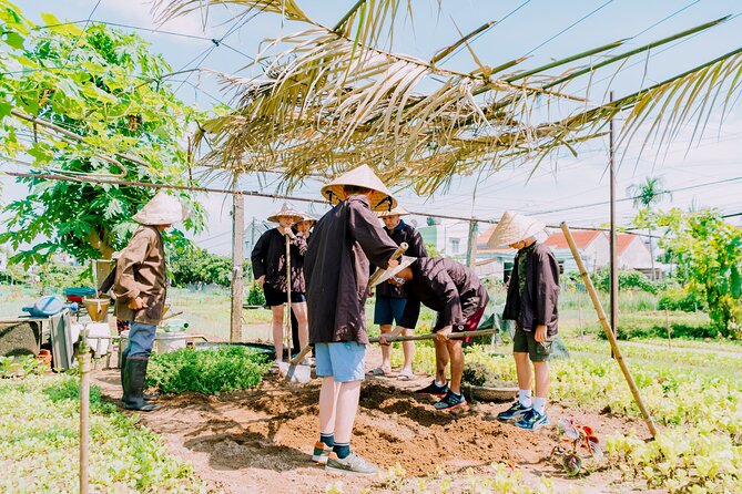 Farming & Cooking Class in Hoi An - Small Group Tour - Farming Experience