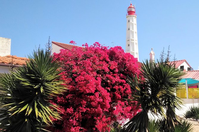 Faro - Ria Formosa Tour With Visit to 2 Islands (Deserta, Farol) 3.5 Hours - Customer Reviews Highlights