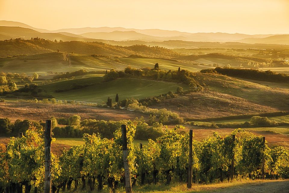 Florence: Chianti Vineyards Tour With Wine Tasting & Dinner - Additional Information