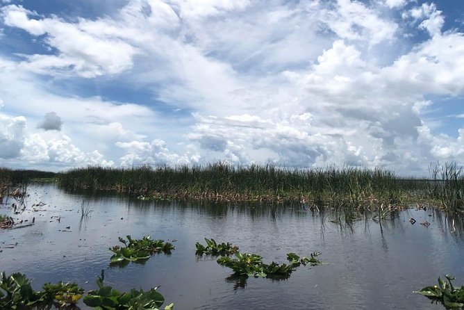 Florida Everglades Airboat Tour and Wild Florida Admission With Optional Lunch - Family-Friendly Amenities