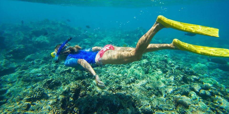 Florida Keys: Full-Day Kayak and Snorkel Reef Adventure - Booking and Cancellation Policy