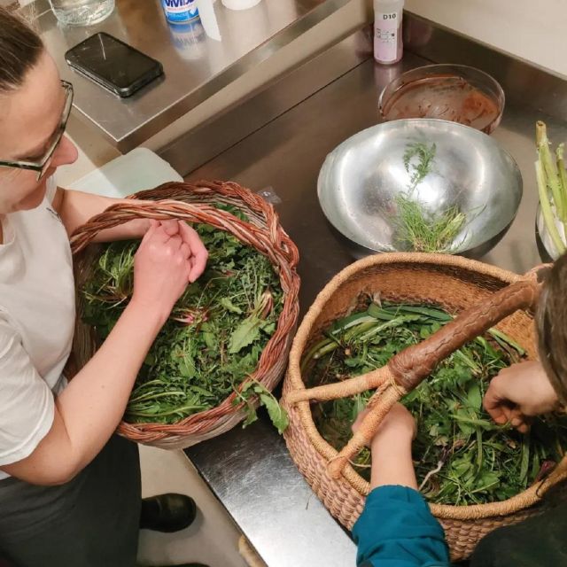 Foraging Tour in the Tuscan Countryside - Wild Herb Identification