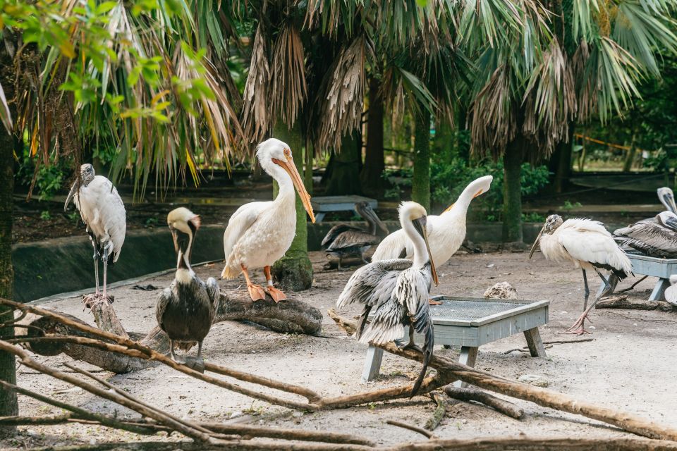 Fort Lauderdale: Flamingo Gardens Entry Ticket - Ticket Pricing and Policies