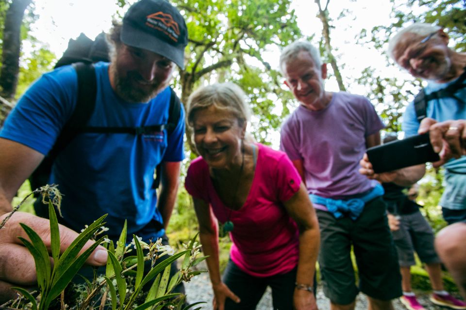 Franz Josef: Half-Day Nature Tour to Lake Matheson - Customer Reviews