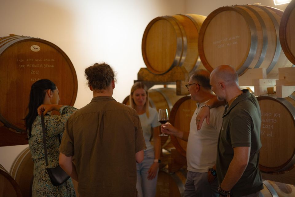 From Abano Montegrotto: Euganean Hills Guided Wine Tour - Highlights of the Tour