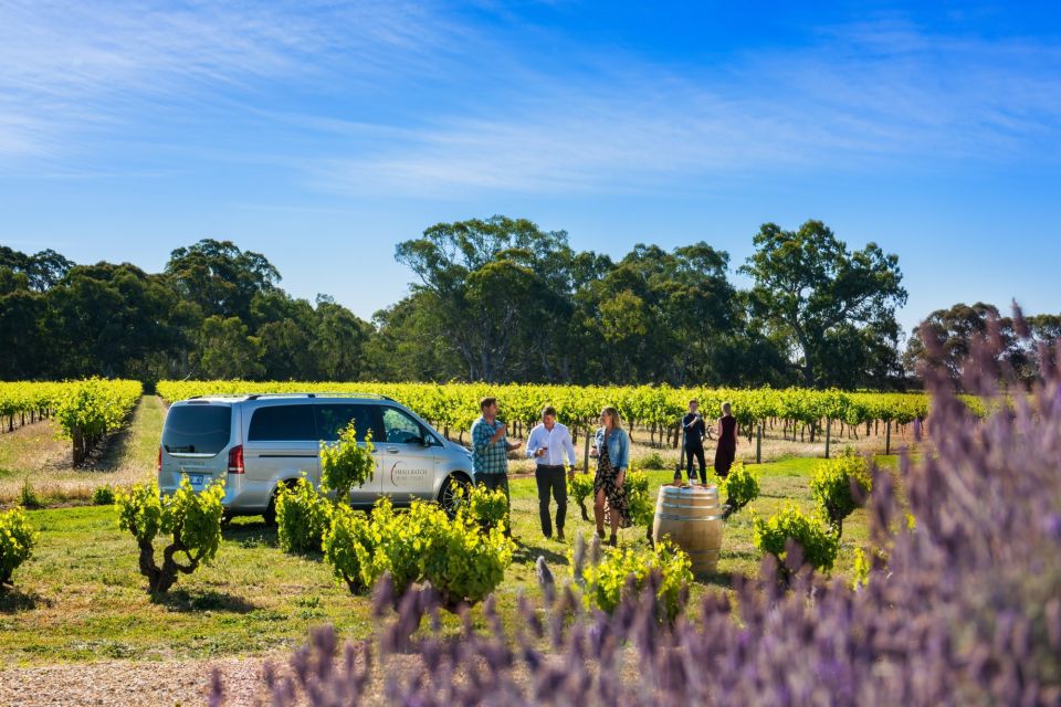 From Adelaide: Premium Barossa Wine Tour With Lunch - Important Information