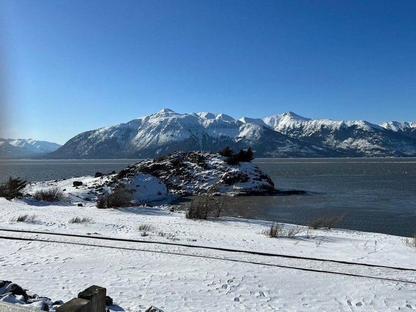 From Anchorage: Alaska Wildlife Center & Turnagain Arm Tour - Panoramic Views of the Landscape