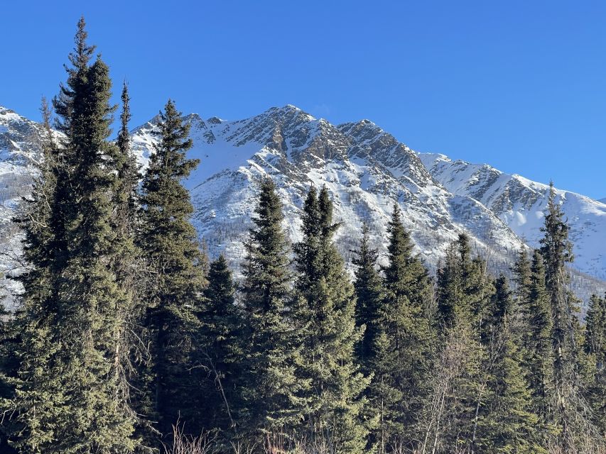 From Anchorage: Chugach State Park Winter Walking Tour - Local Wildlife Sightings