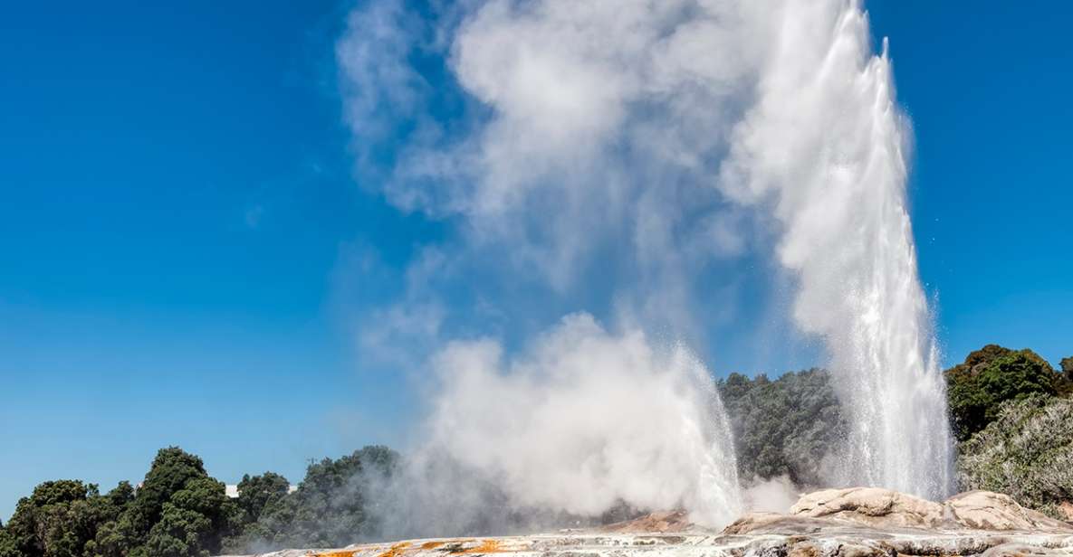 From Auckland: One-Way Transfer to Rotorua W/ Hobbiton Tour - Hobbiton Tour Specifics