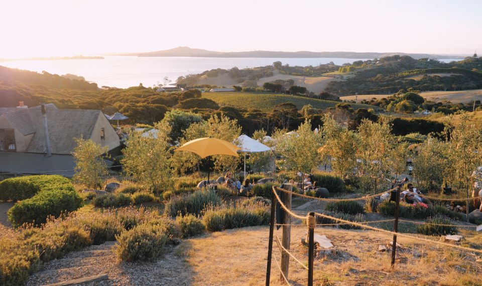 From Auckland: Waiheke Island Wine Cellar Tour - Experience Highlights