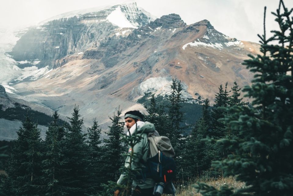 From Banff: Icefields Parkway Small Group Adventure - Viewing Waterfowl Lakes Viewpoint