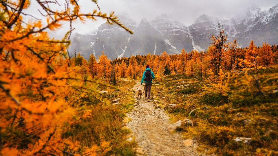 From Banff or Lake Louise: Moraine Lake & Larch Valley Hike - Gear and Essentials