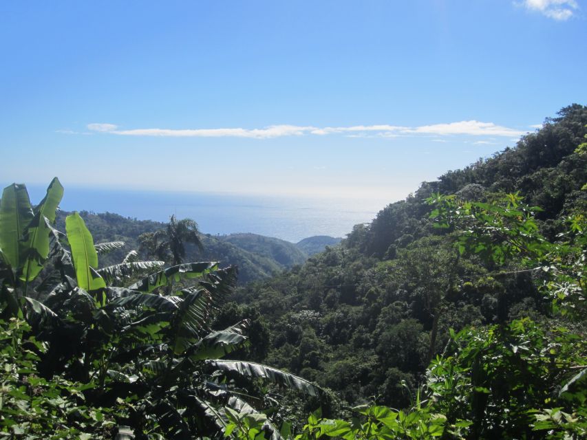 From Barahona: Larimar Mine Tour - Experiencing the Larimar Mine