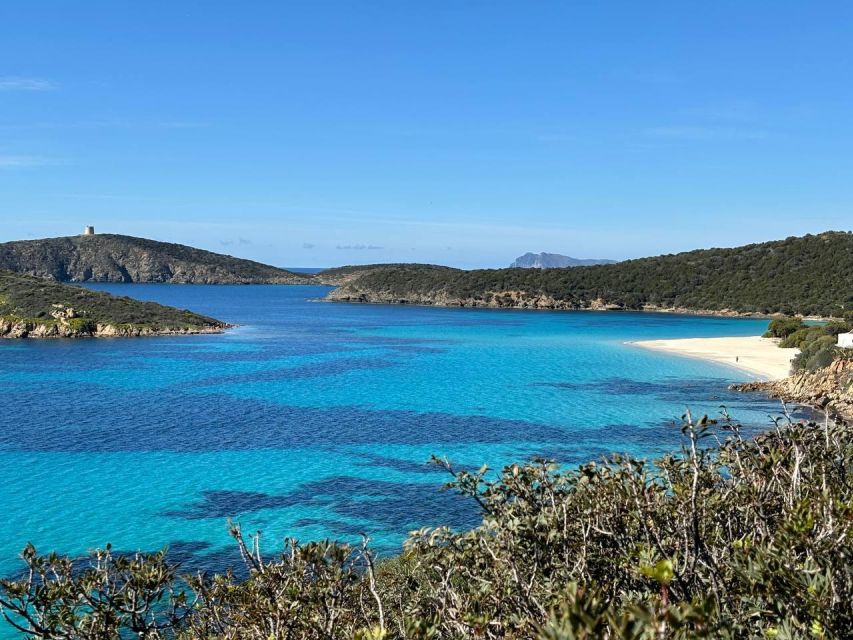 From Cagliari: Chia and Tuerredda Full-Day Guided Beach Tour - Spotting Wildlife in Santa Gilla