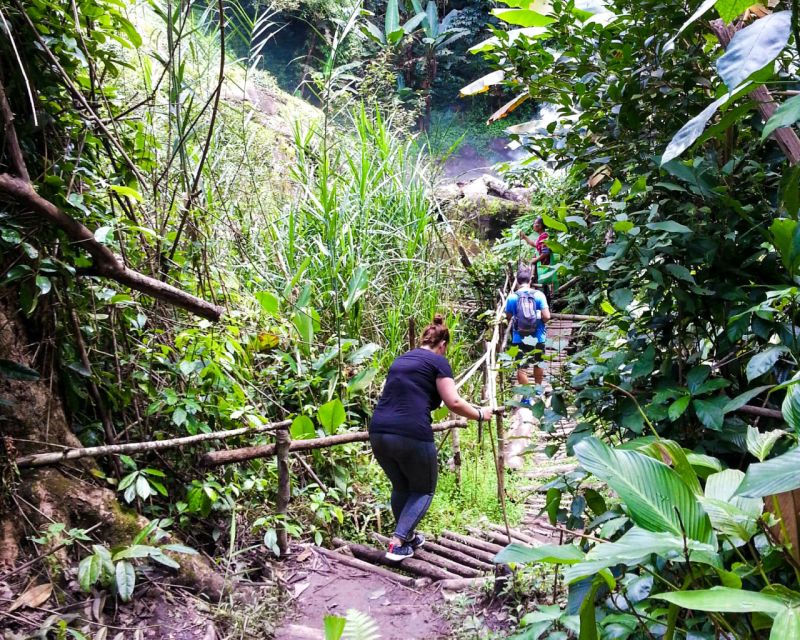 From Chiang Mai: Doi Inthanon National Park Day Trip & Hike - Pha Dok Siew Nature Trail