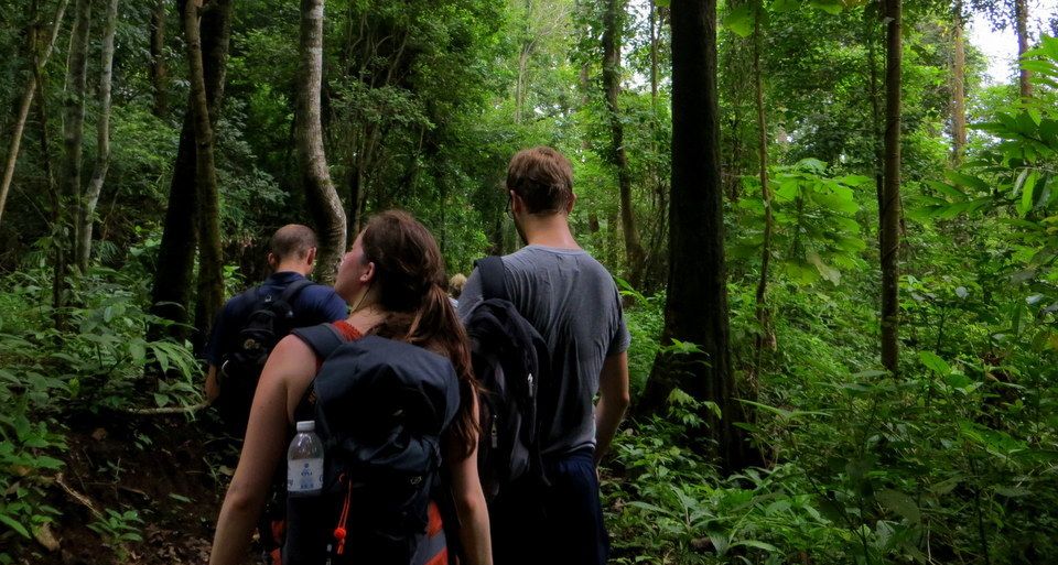 From Chiang Mai: High Mountain Day Trek - Lunch in the Wilderness