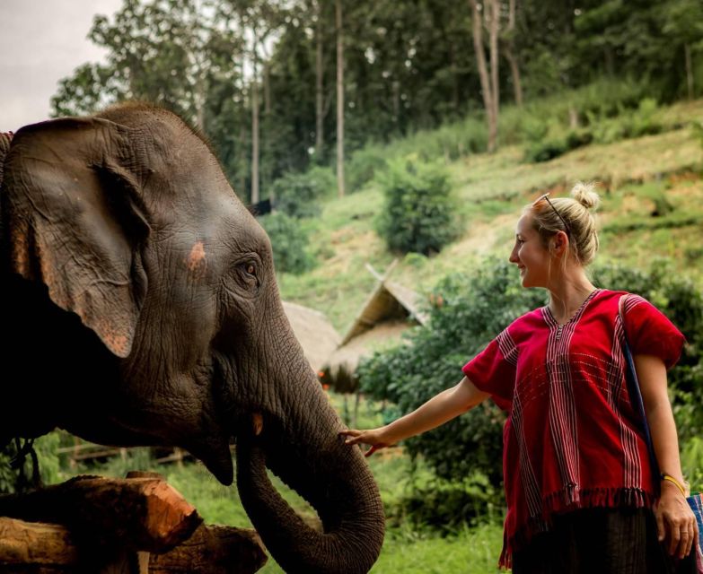 From Chiang Mai: Kerchor Eco Elephant Park Tour - Important Information