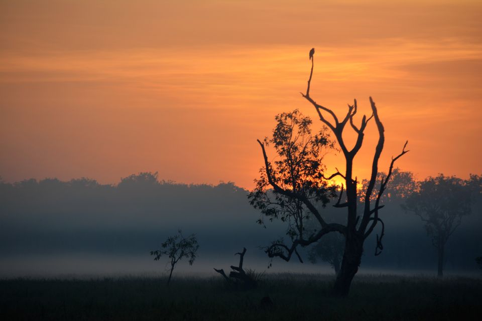 From Darwin: 2-Day Kakadu Tour With Hotel, Cruise & Rock Art - Important Information