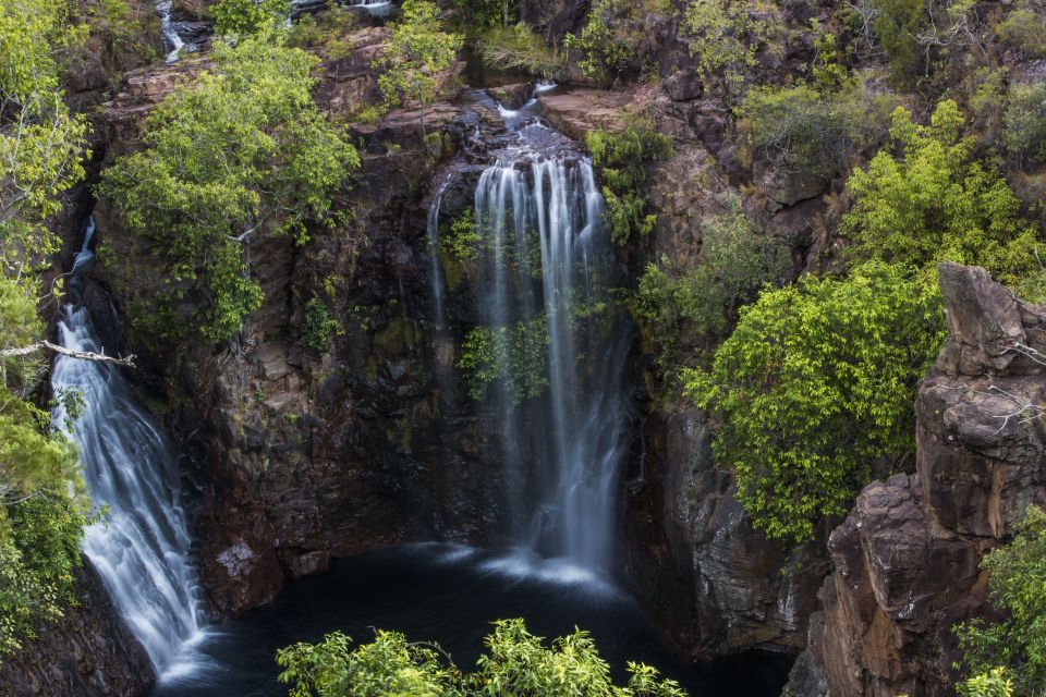 From Darwin: Litchfield National Park Full Day Tour - Customer Reviews