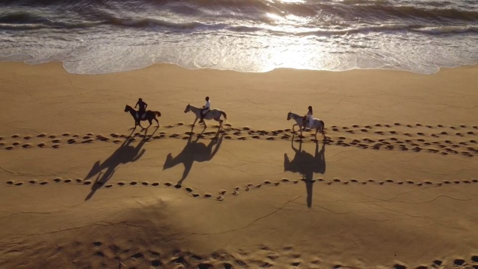 From Evora: Horseback Riding on Comporta Beach - Transfers and Logistics