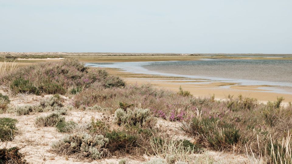 From Faro: Catamaran Boat Trip to Deserta Island With Stop - What to Expect