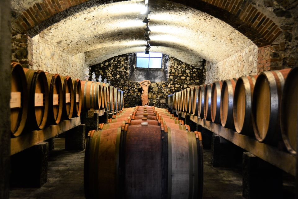 From Florence: Chianti Classico With Lunch Half-Day - Sampling Olive Oil