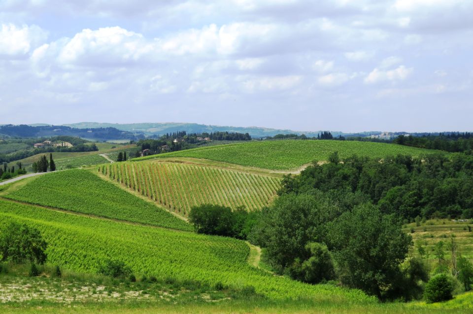 From Florence: Private Wine Tour With Dinner on an Estate - English-speaking Driver for the Tour