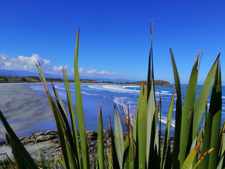 From Greymouth: Highlights West Coast Day Tour - Additional Information