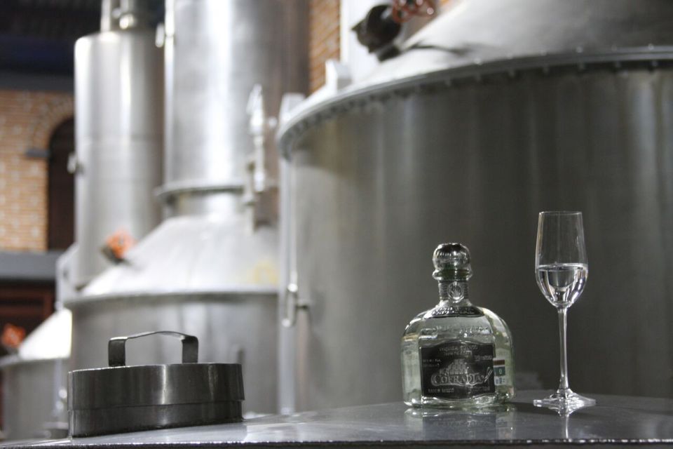 From Guadalajara: Tequila Tour & Tequila Tasting in Hacienda - Tequila-Making Process Insights