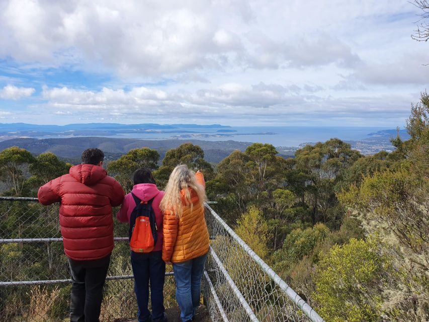 From Hobart: Mt Wellington Afternoon Driving Tour - Important Information