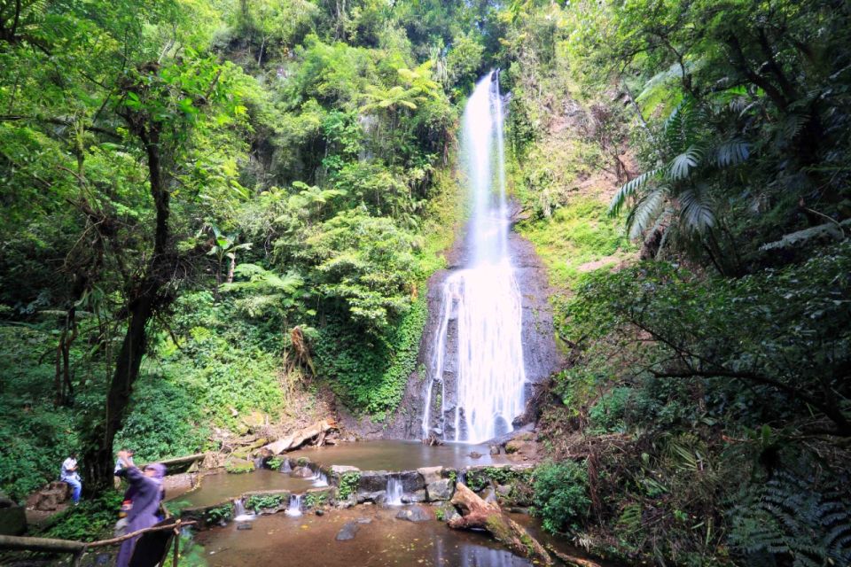 From Jakarta: Safari Park, Tea Plantation & Jaksa Waterfall - Jaksa Waterfall Hike