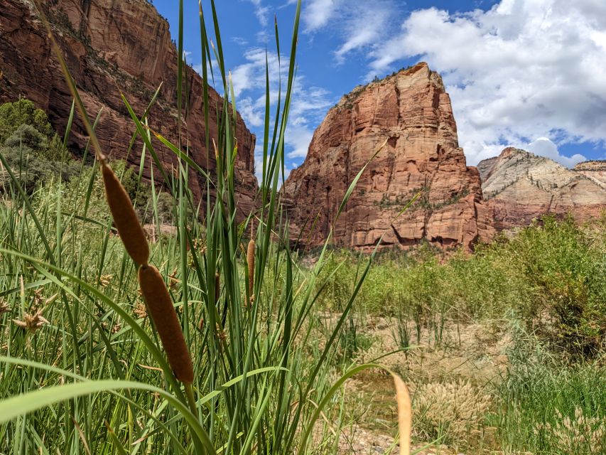 From Las Vegas: Zion National Park Small Group Adventure - Included Amenities