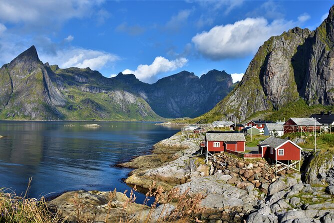 From Leknes Port: Special Summer Guided Tour of Lofoten - Private Transportation and Refreshments Included