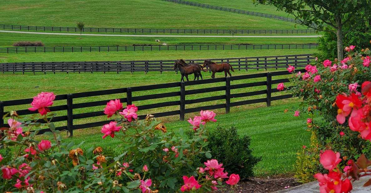 From Lexington: Kentucky Horse Farms Tour - Exploring The Thoroughbred Center