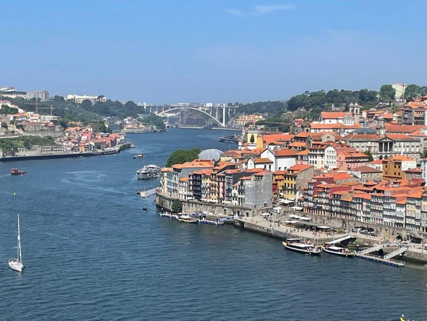 From Lisbon: Douro Valley and Porto Town Experience - Logistics and Pickup/Dropoff Information