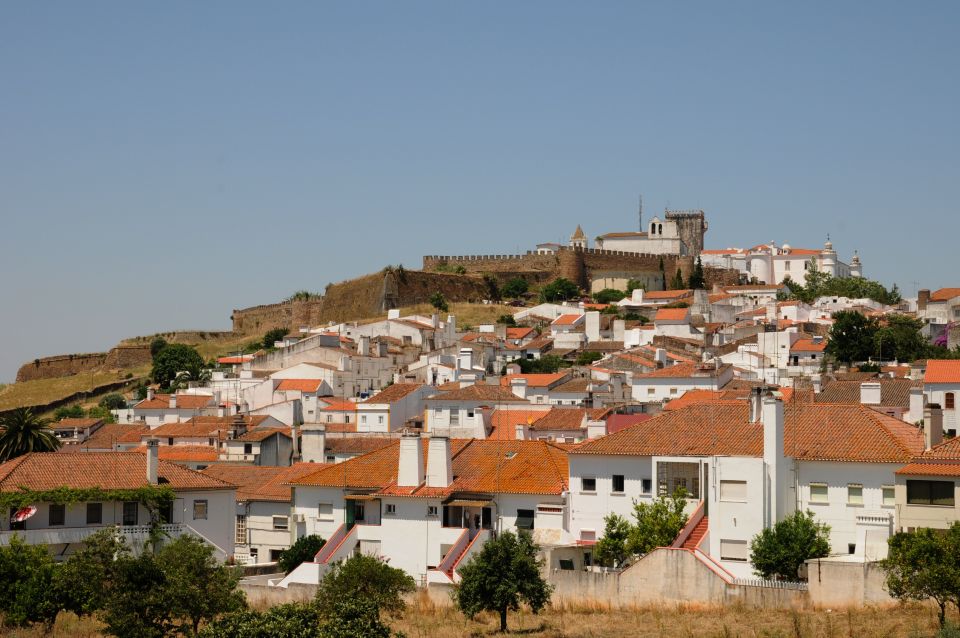 From Lisbon: Private Customized Small-Group Tour to Evora - Flexibility in Itinerary