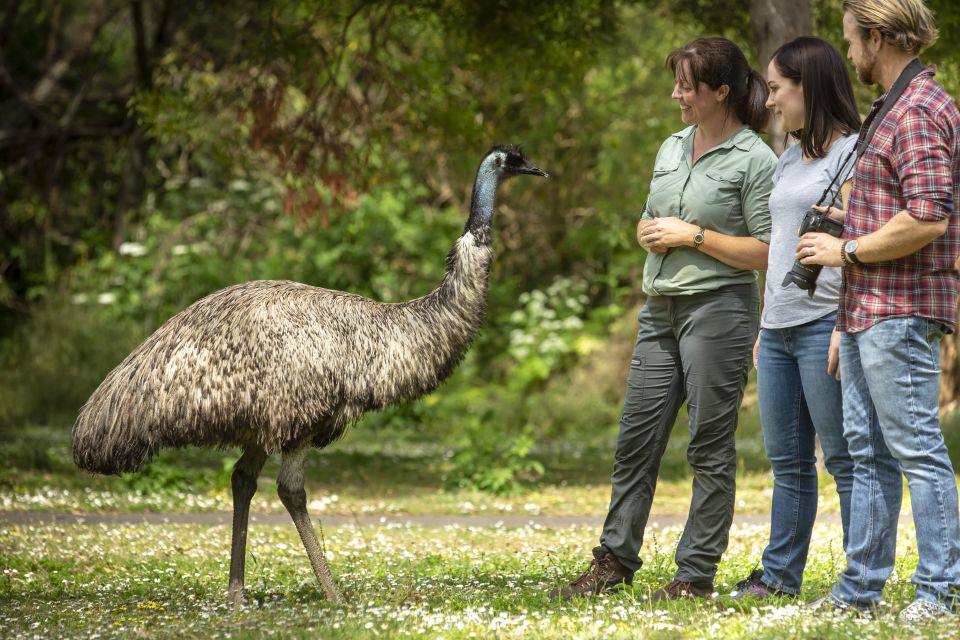 From Melbourne: Great Ocean Road and Otway Overnight Tour - Inclusions