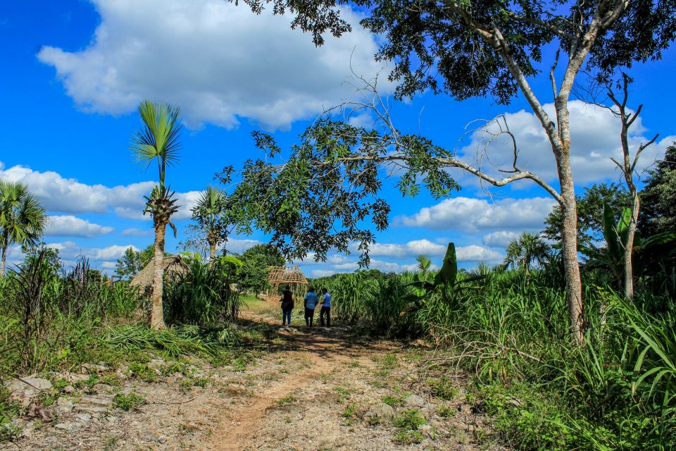 From Mérida: Farming, Cenote, and Ek Balam Pyramids Tour - Cenote Xcanche