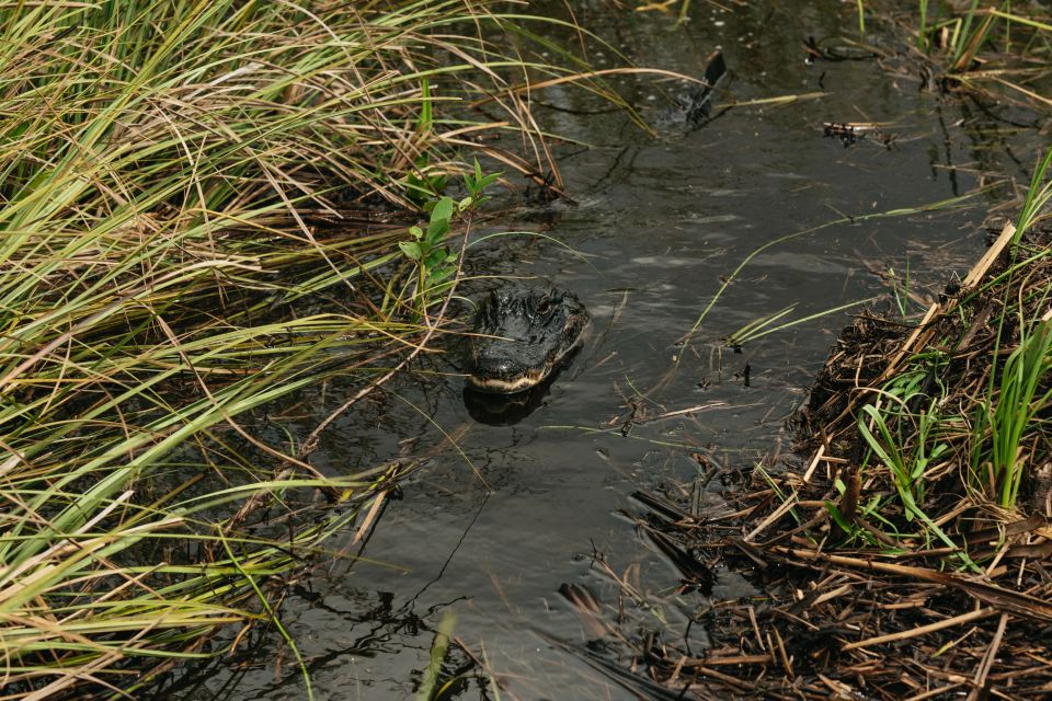 From Miami: Everglades Airboat Ride and Nature Walk - Cancellation and Payment Policy