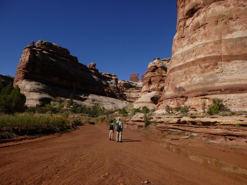 From Moab: 1-Day Horseshoe Canyon Exploration - Booking and Cancellation